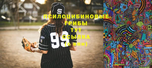 СК Балахна
