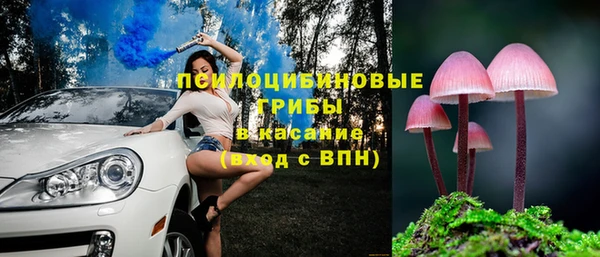 СК Балахна