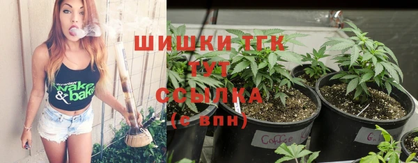 крисы Баксан