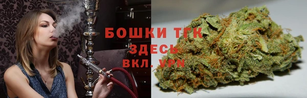 крисы Баксан